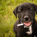 Madison Mceachern - Facebook