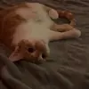 madison.mclendonn - @madison.mclendonn - TikTok