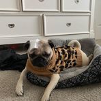 Madison Medrano - Facebook