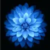 maddison.meek - @maddison.meek130 - TikTok