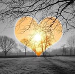 Madison Melcher - Facebook