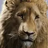 Madison Merandi - @madisonmerandi - TikTok