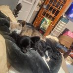 Madison Merrill - Facebook