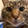 madisonmetzger456 - @madisonmetzger456 - TikTok