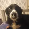 Metzger - @madisonmetzger22 - TikTok