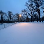 Madison Moffitt - Facebook