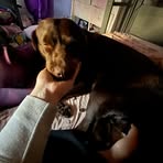 Madison Mull - Facebook
