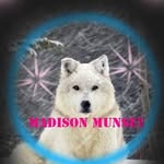 madison - @madisonmunsey04 - Instagram