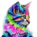 madison cathrin nault - @madison9kitty - Instagram