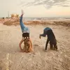maddie!! - @madison..naylor - TikTok