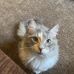 Maddie Nesmith - Facebook