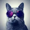 Nestor MAdison - @nestormadison - TikTok