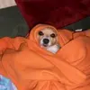 madisonnickells24 - @madisonnickells24 - TikTok