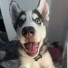 madi - @madison.niless - TikTok