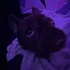 madison_niles - @madison_niles - TikTok