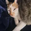 Madison Nix - @ur.fav.leo.17 - TikTok