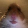madisonnorthrup607 - @dxddy.maddyx - TikTok