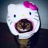 madisonenochs - @madisonenochs - TikTok