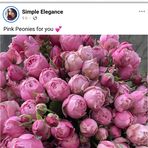 Madison Ortiz - Facebook