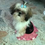 Madison Ortiz Chaparro - @maddiebaby_255 - Instagram