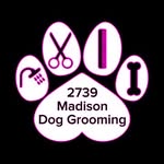 Madison Pagan - @madisondoggrooming - Instagram