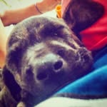 Madison Parson - @maddog811 - Instagram