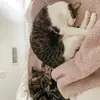 madisonparsons62 - @lifeoftacoandwillow - TikTok