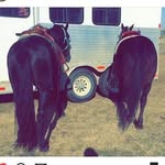 @madisonparsons_spamm - Instagram