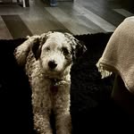 Madison Perkins - @madison_love1417 - Instagram