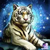 Madison Petersen848 - @madisonpetersen4 - TikTok