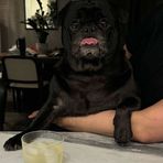 Madison Pham - Facebook