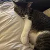 Madison Phelps - @madison.phelps6 - TikTok