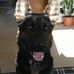 Madison Pohl - Facebook
