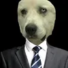 MadisonPollard - @madisonpollardbotsbks - TikTok