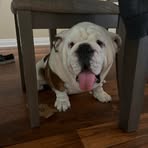 Madison Ponce - Facebook