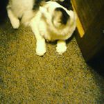 Madison Post - @postmadison - Instagram