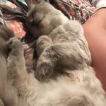 Madison Pratt - @ozzie_gram06 - Instagram