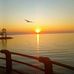 Maddy Pye - Facebook