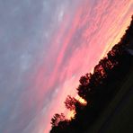 Madison Randall - Facebook