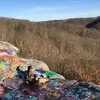 madison.randall - @mad_dog98 - TikTok