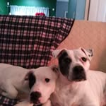 Pauline Boderone - @madison_roark1 - Instagram