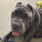 Madison Romig - @mmr.2022 - Instagram