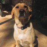 Roux Madison - @roux_madison12 - Instagram