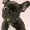 Madison Rowley537 - @user541762092 - TikTok