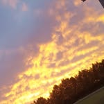 madison saxton - @madison_photography_04 - Instagram