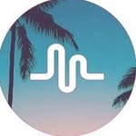 Madison Schafer - @_madisonmusically_ - Instagram