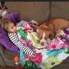 Madison Schafer - @madison.schafer1014 - TikTok