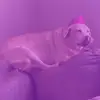 Maddy🫧🦢 - @madison.schaper - TikTok