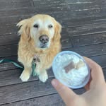 Dakota Madison Scribner - @dakotamadisonscribner - Instagram
