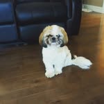 Madison - @madison_scribner9 - Instagram